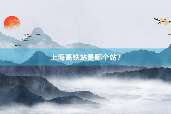 上海高铁站是哪个站？