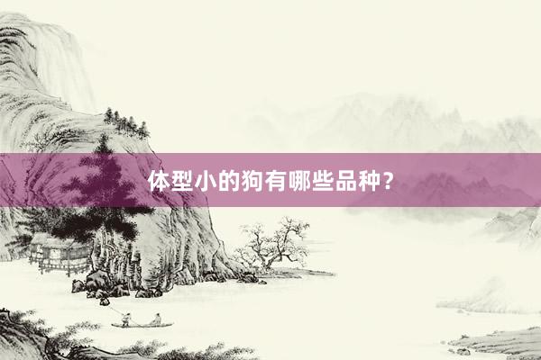 体型小的狗有哪些品种？
