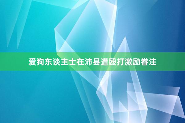 爱狗东谈主士在沛县遭殴打激励眷注